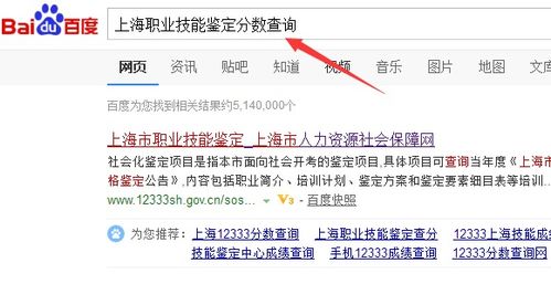 上海職業(yè)技能鑒定成績查詢與電碼電話防偽技術(shù)咨詢與服務(wù)指南